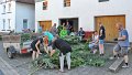 Binden am Mittwoch 004